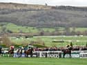 The Cheltenham Festival, the pinnacle of National Hunt racing, takes place from March 16 to 19.
