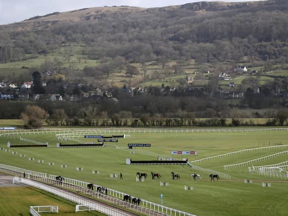 Willie Mullins' horses return from the gallops at Cheltenham racecourse ahead of the Cheltenham Festival which starts on Tuesday.