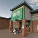 Pets At Home is rationing pet food supplies