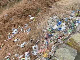 The trail of  litter on the Burnley embankment
