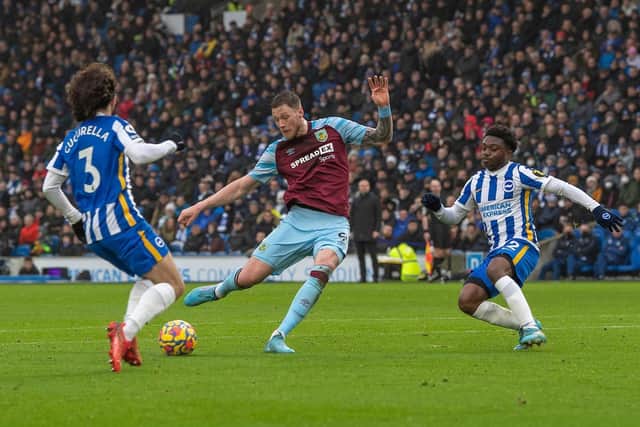Wout Weghorst scores his first goal for Burnley in a 3-0 victory over Brighton & Hove Albion at the AMEX Stadium.