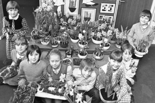 Spring sprang a surprise in a Lancashire primary school's bulb growing competition. The children of Middleforth Church of England Primary School, Penwortham, took the bulbs home to grow and so many of the bulbs grew so quickly they had to be marked early to make the contest fair