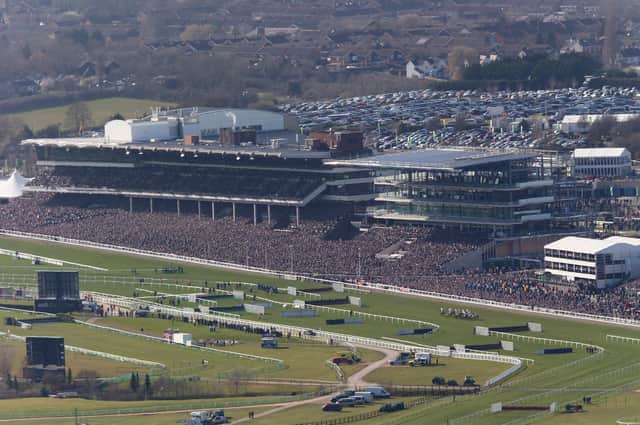 It's day two of the Cheltenham Festival on Wednesday