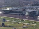 It's day two of the Cheltenham Festival on Wednesday