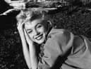 Marilyn Monroe was a film star and cultural icon