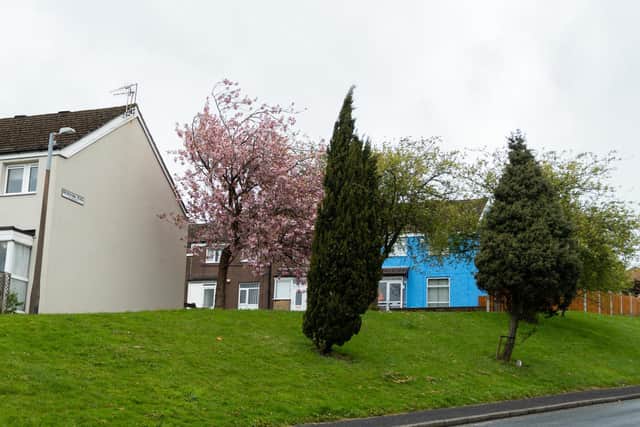 Scott's new look blue house will become the talk of the town