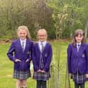 Laneshaw Bridge pupils have been learning about the importance of trees