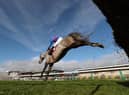 Haydock Park stages a competitive eight-race card on Saturday which sees a mix of both Flat and Jump racing