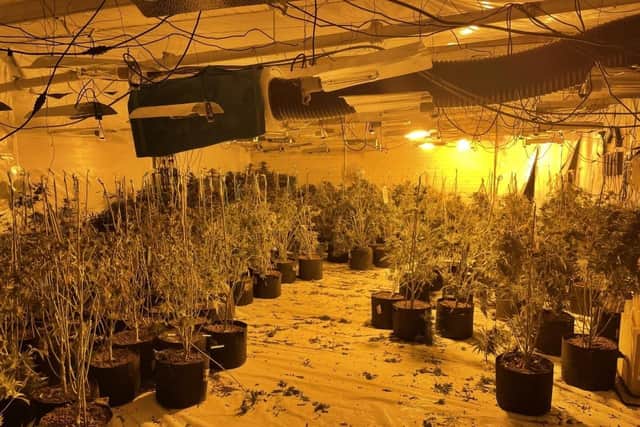 A substantial cannabis farm found in Burnley town centre premises presented a huge fire risk