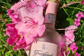 Freixenet Rosado is a tasty pink from Spain and it was perfectly pretty alongside the early summer rhododendrons