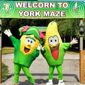 It's a fantastic family day out at York Maze