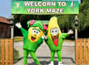 It's a fantastic family day out at York Maze