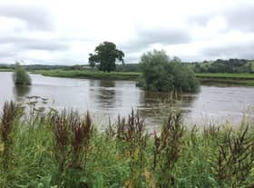 A new survey aims to discover if otter numbers are increasing on the River Ribble, which rises in Yorkshire and flows through Lancashire to Preston