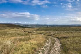 Walkers will explore the scenic Forest of Bowland. Photo credit Mark Sutcliffe