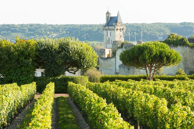 In the  Loire Valley grapes often grow against the backdrop of  chateaux from a time when nobles and kings made their mark on the landscape