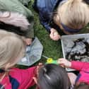Burnley pupils getting a closer look at what lives in the River Calder.