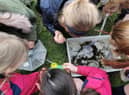 Burnley pupils getting a closer look at what lives in the River Calder.
