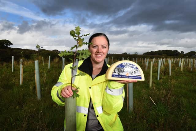 Laura Barnes, Technical Manager at Dewlay, pictured by some of the recently planted trees