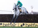 Bristol de Mai will face a stellar field as he bids to equal Kauto Star’s record of four victories in the prestigious race at Haydock Park and you could be there.