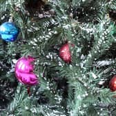 Real Christmas trees can be collected by Age UK Lancashire