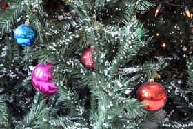 Real Christmas trees can be collected by Age UK Lancashire