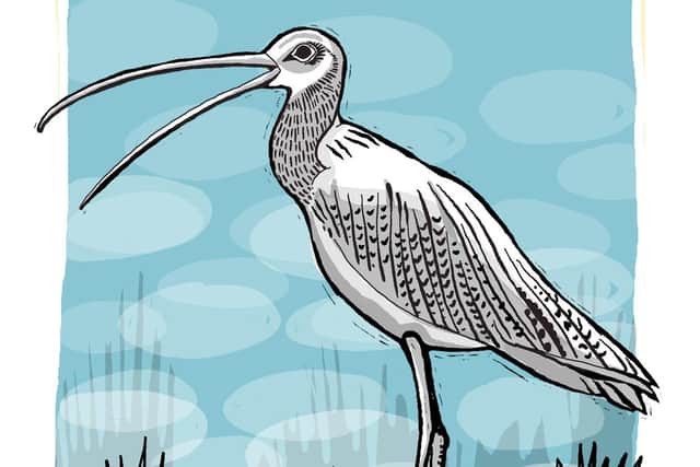 The Curlew Calls one of the 72 Seasons illustrations by Cath Ford