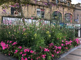 One of Burnley town centre's flowerbeds from the summer