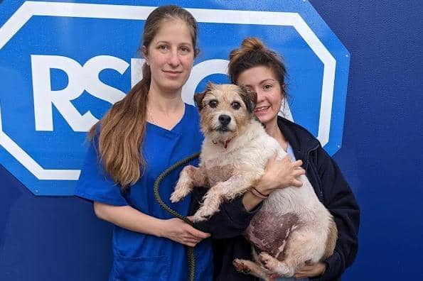 Nurses from the RSPCA's Greater Manchester Animal Hospital with Poppy, the 11-year-old Jack Russell terrier. The RSPCA stepped in to help when Poppy's pensioner owner, an Army veteran from Blackburn, couldn't afford to have dozens of bladderstones removed his beloved pet