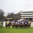 Tommy Whittle day is the highlight of the weekend racing with a cracking seven-race card taking centre-stage at Haydock Park.