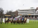 Tommy Whittle day is the highlight of the weekend racing with a cracking seven-race card taking centre-stage at Haydock Park.