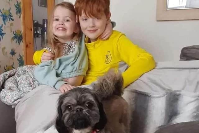Jack Davis with his little sister Charlotte and their great gran's dog Clemmy