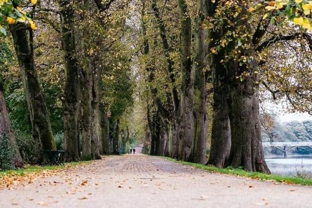 Take a walk around Avenham & Miller Parks in Preston - located in the heart of the city centre. The parks are connected by beautiful and scenic paths, creating one large and diverse park