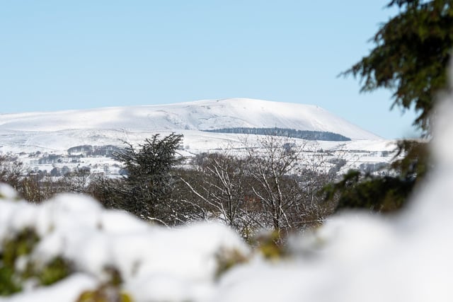 Pendle Hill from Towneley Park during snowfall in March 2023. Photo: Kelvin Stuttard