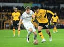WOLVERHAMPTON, ENGLAND - DECEMBER 01: Hwang Hee-chan of Wolverhampton Wanderers is closed down by Nathan Collins of Burnley during the Premier League match between Wolverhampton Wanderers and Burnley at Molineux on December 01, 2021 in Wolverhampton, England. (Photo by David Rogers/Getty Images)