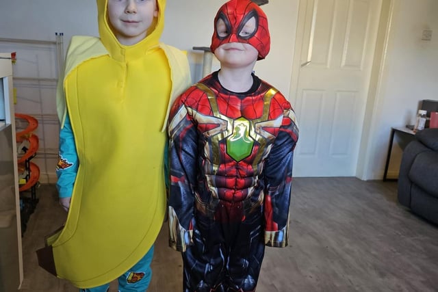 Ronnie (6) - Bananas in Pyjamas, and Charlie (5) - Iron-Man/Spider-man