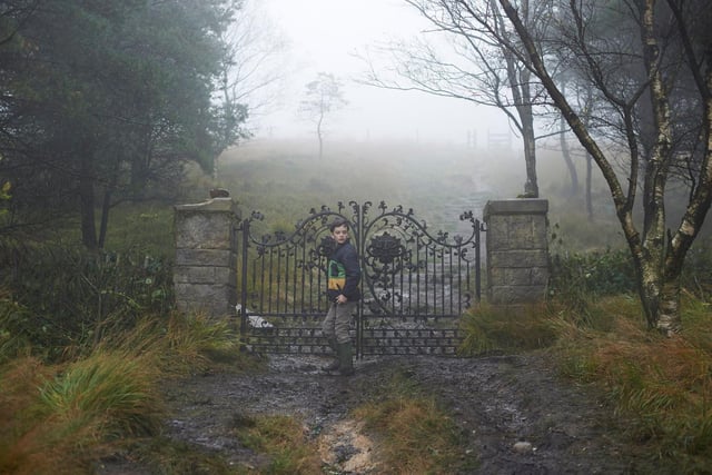 A Monster Calls (2016): This dark fantasy drama is based on Patrick Ness' 2011 novel of the same name and stars Sigourney Weaver, Felicity Jones, and Liam Neeson, with some scenes being filmed in Rivington Pike in Chorley, Preston, and Blackpool.