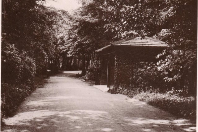 This image is taken from a postcard used in 1928. It shows one of the park’s shelters and the long walk which connects the Hall to Todmorden Road via the Clubhouse of the Municipal Golf Club.