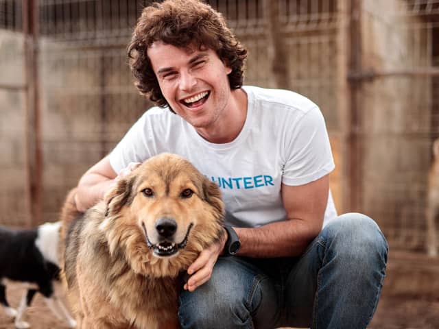 Why not make your New Year resolution to help out as an animal charity volunteer (photo: Adobe)