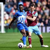 BURNLEY, ENGLAND - APRIL 13: Danny Welbeck of Brighton & Hove Albion is challenged by Hjalmar Ekdal of Burnley during the Premier League match between Burnley FC and Brighton & Hove Albion at Turf Moor on April 13, 2024 in Burnley, England. (Photo by Gareth Copley/Getty Images) (Photo by Gareth Copley/Getty Images)