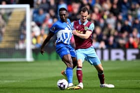 BURNLEY, ENGLAND - APRIL 13: Danny Welbeck of Brighton & Hove Albion is challenged by Hjalmar Ekdal of Burnley during the Premier League match between Burnley FC and Brighton & Hove Albion at Turf Moor on April 13, 2024 in Burnley, England. (Photo by Gareth Copley/Getty Images) (Photo by Gareth Copley/Getty Images)