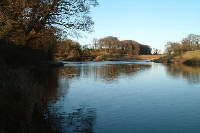 Ribble Rivers Trust gewinnt nationalen Preis für Wildlachsschutz