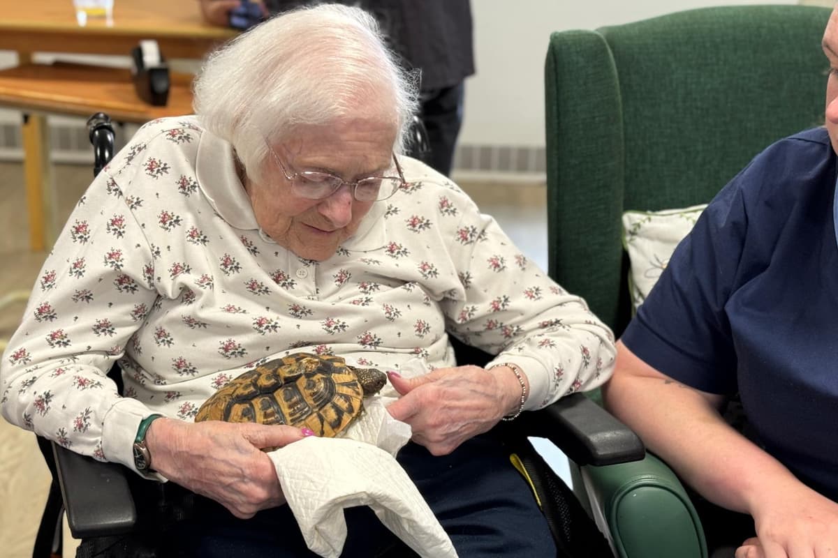 Animal 'safari' treat at Clitheroe care home was thanks to generous ...