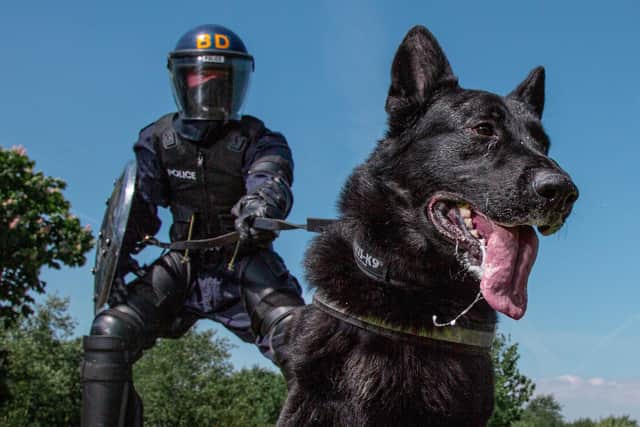 Retired police dog Zorro