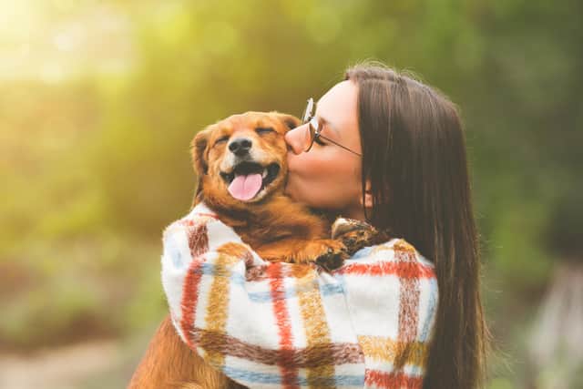 Of those polled 84 per cent said that their pet is their number one source of joy (photo: Adobe)