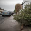 Hospices, community groups, environmental organisations and councils are collecting Christmas trees across Lancashire