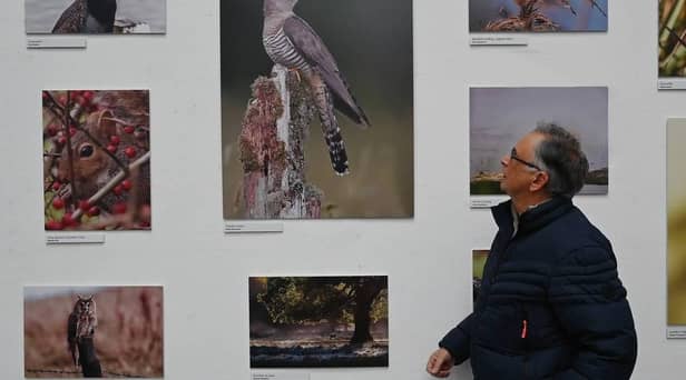 Keith Bannister surveying his prize-winning photograph of a cuckoo at The Sorey, which is hosting the Lancaster Litfest