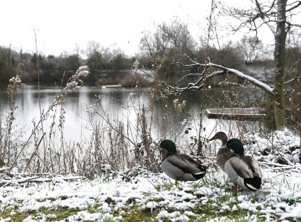 A new yellow weather warning for ice has been issued by the Met Office (Credit: Neil Cross)