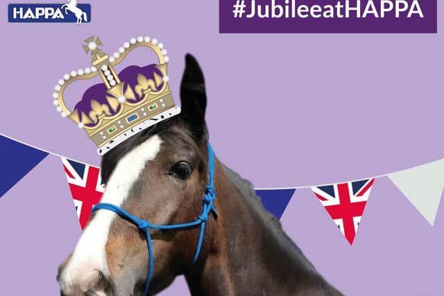 HAPPA (Horses and Ponies Protection Association) has announced its activities for the half-term holiday and Jubilee celebrations at Shores Hey Farm in Briercliffe