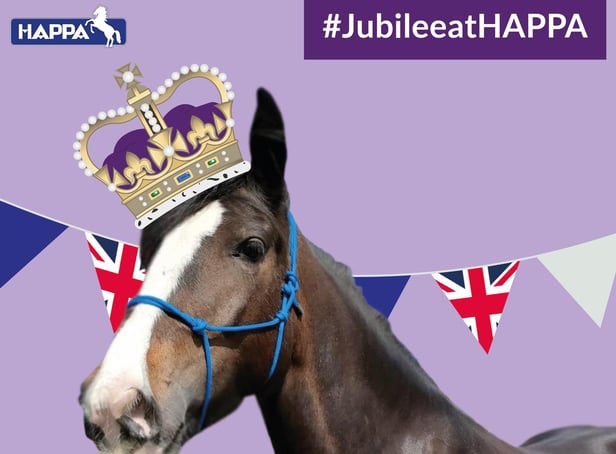 HAPPA (Horses and Ponies Protection Association) has announced its activities for the half-term holiday and Jubilee celebrations at Shores Hey Farm in Briercliffe