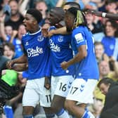 Abdoulaye Doucoure's goal secured Everton's top flight status
